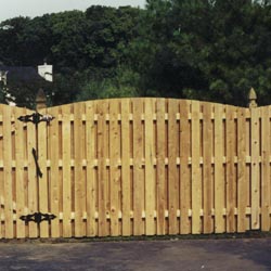 Bd on Bd  2 1/2 in Section-Concave-Flat  6ft H x 8ft W Cedar Wood